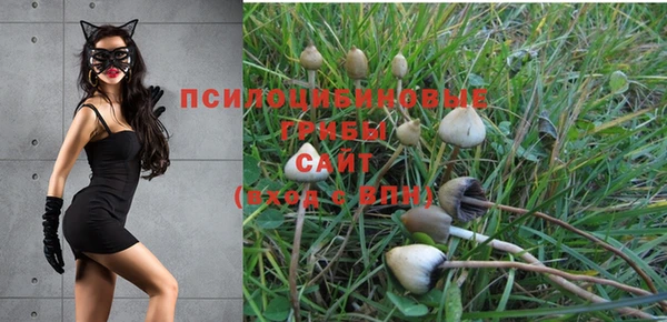 кокс Беломорск