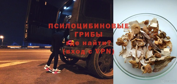 гидра Балахна
