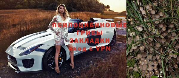 молекула духа Балабаново