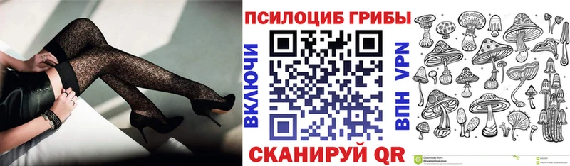 KRAKEN ССЫЛКА продажа наркотиков Новотитаровская Псилоцибиновые грибы ЛСД